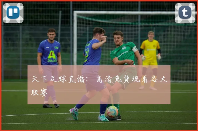天下足球直播：高清免费观看各大联赛