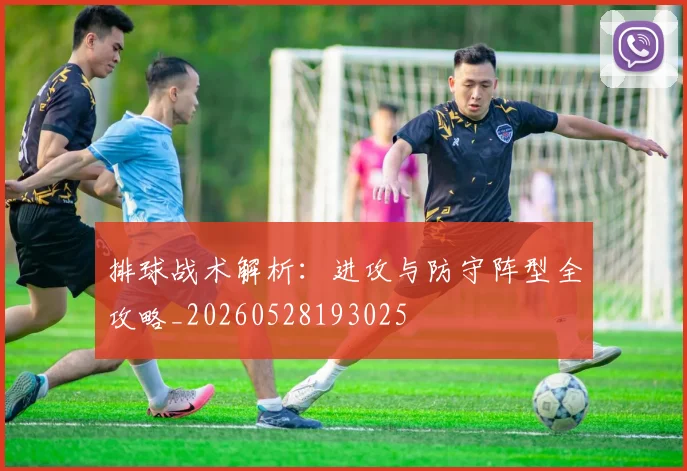 排球战术解析:进攻与防守阵型全攻略_20260528193025